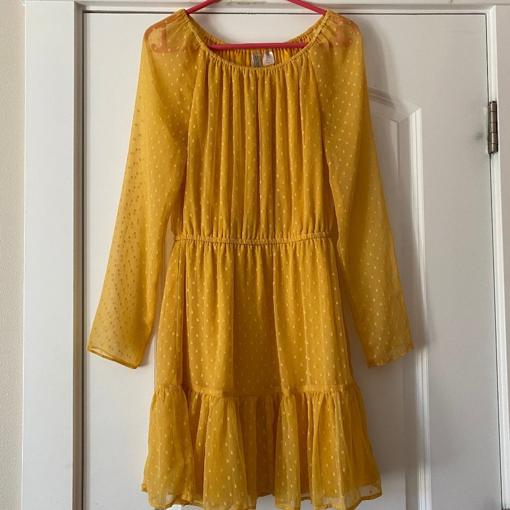 H&M Sheer Chiffon Dress